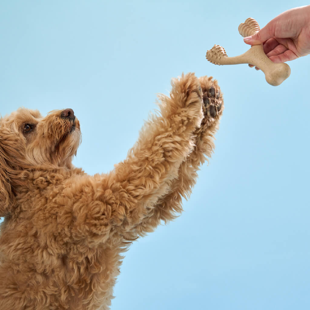 BetterBone 100% Natural Chew Toy
