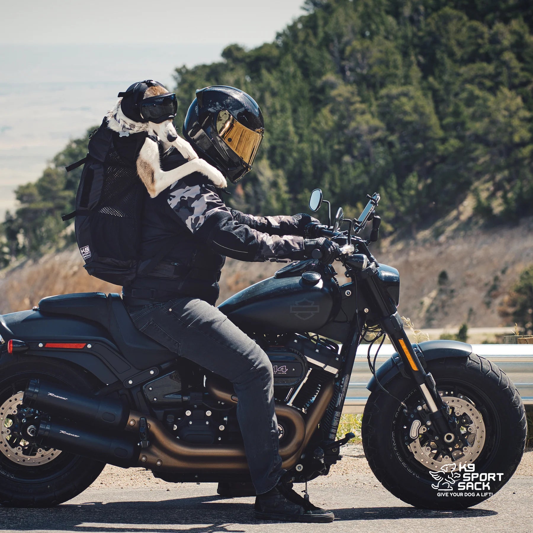 K9 Sport Sack® Knavigate Dog Backpack