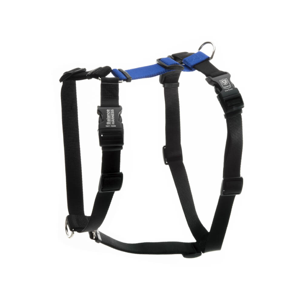 Balance dog harness best sale