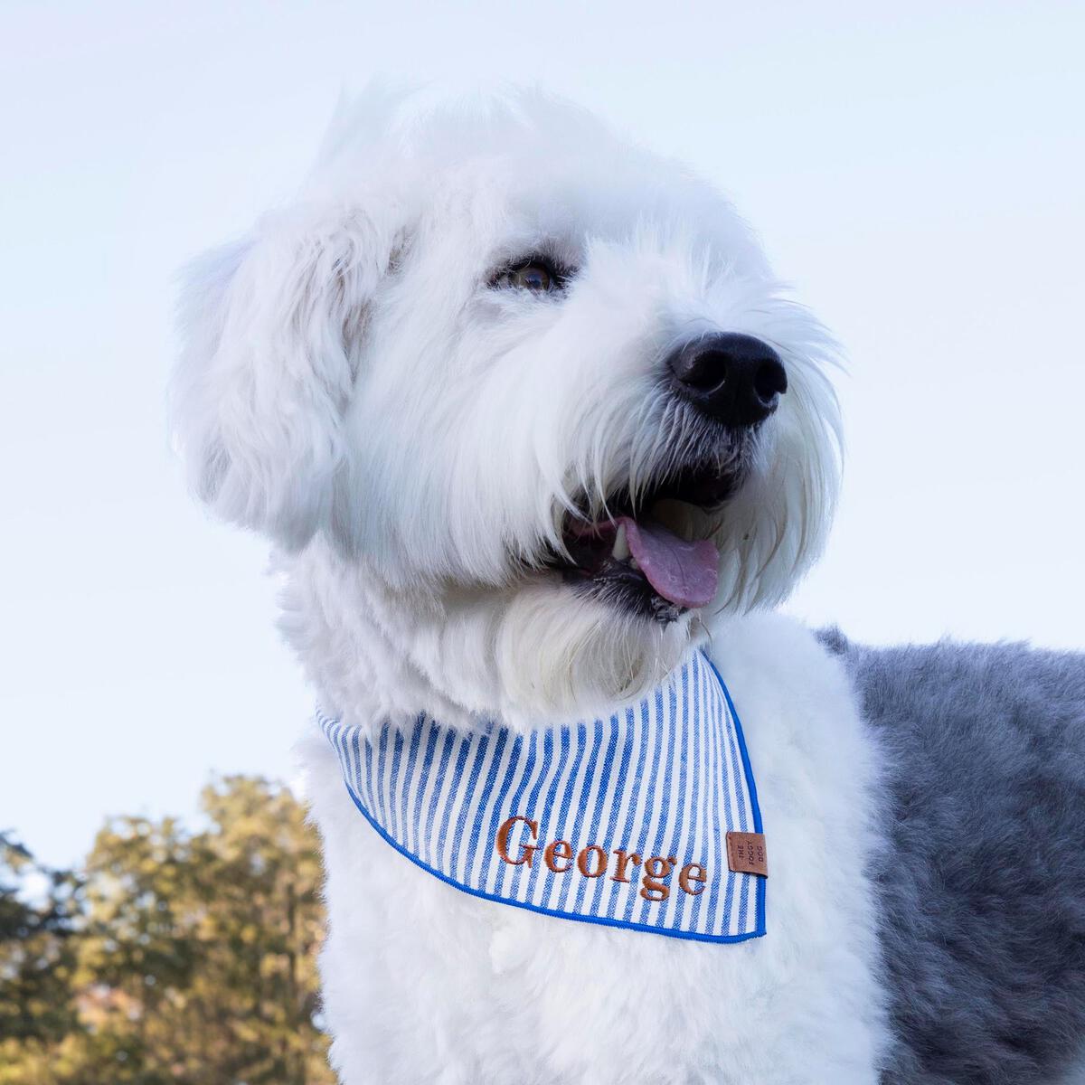 The Foggy Dog Lake Blue Stripe Bandana