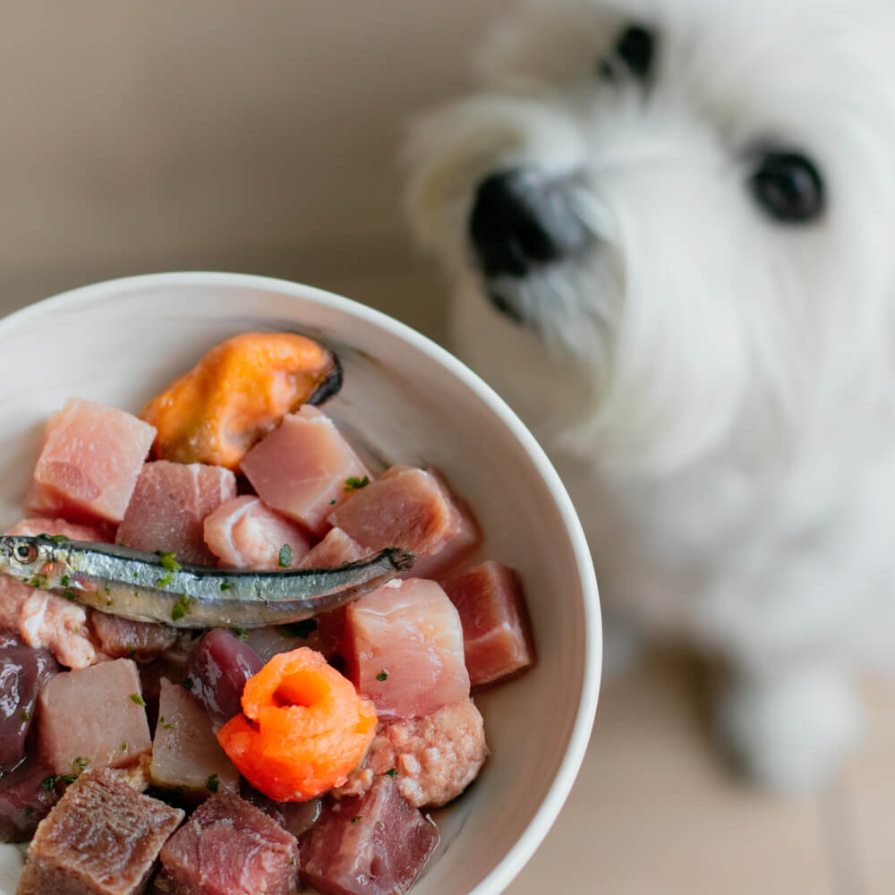 BOM BOM Singles | Sous Vide Meals