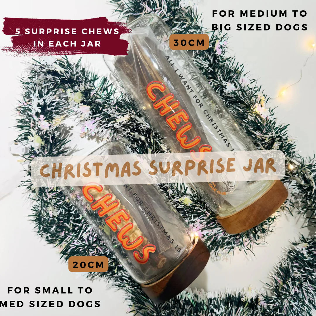 The Source-Sage Club Christmas Jar with Chews