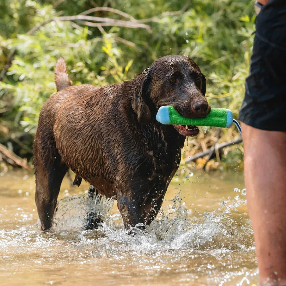 Chuckit! Amphibious Bumper Floating Dog Toy