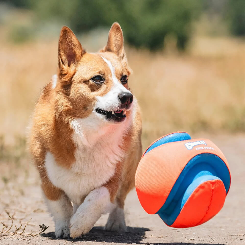 Chuckit! Kick Fetch Dog Toy