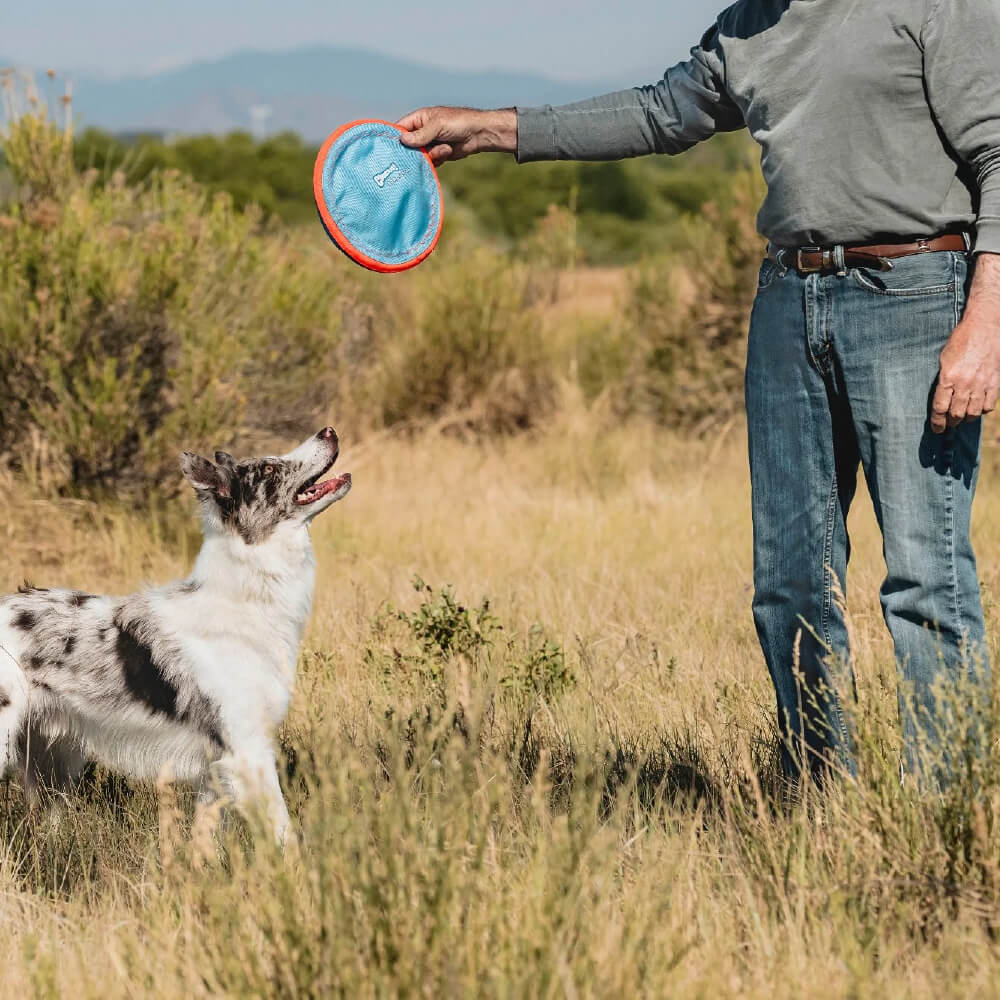 Chuckit! Paraflight Flyer Dog Toy