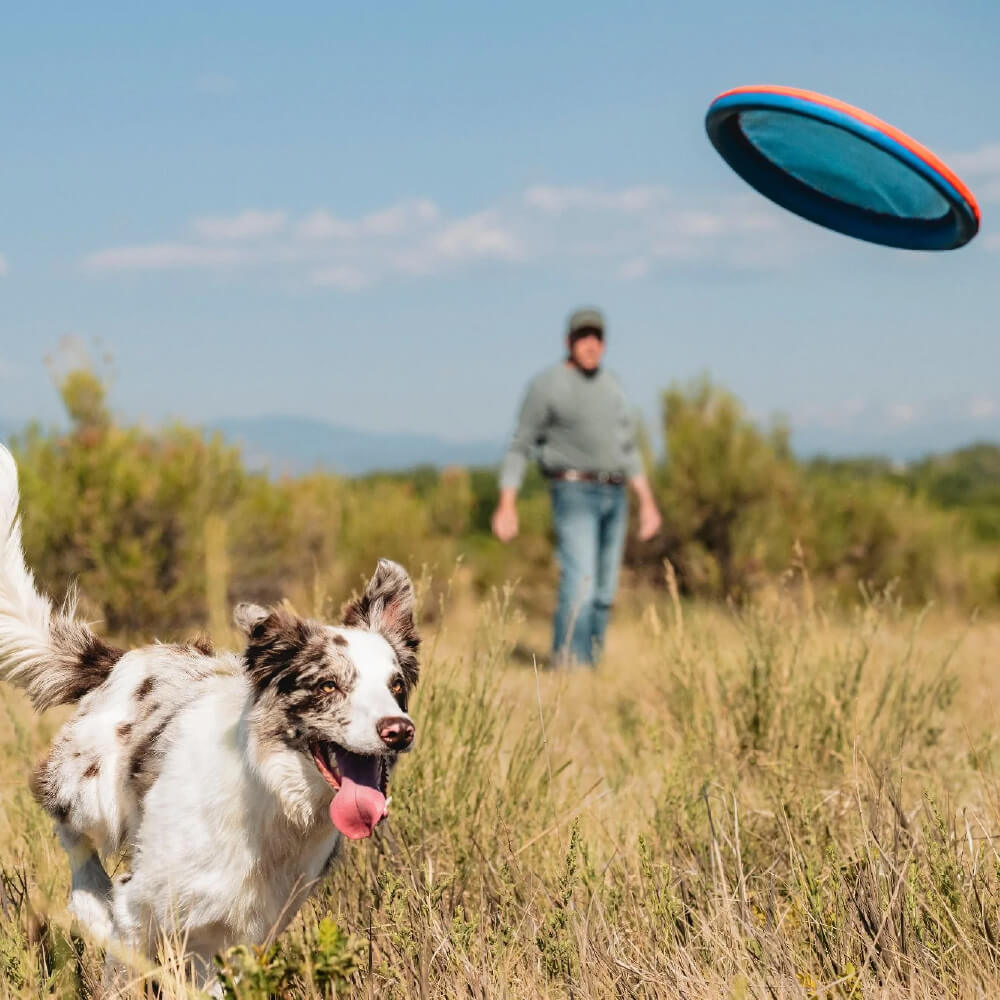 Chuckit! Paraflight Flyer Dog Toy