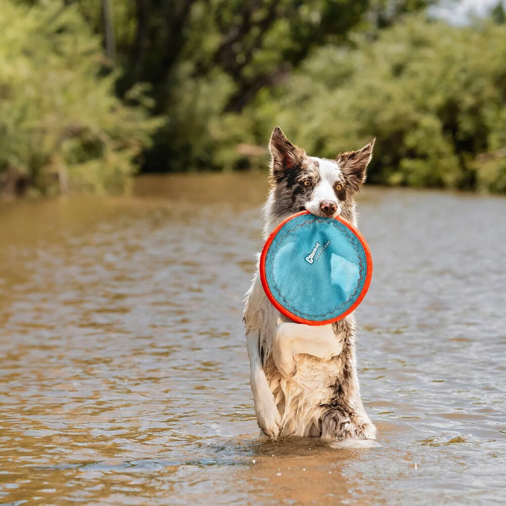 Chuckit! Paraflight Flyer Dog Toy