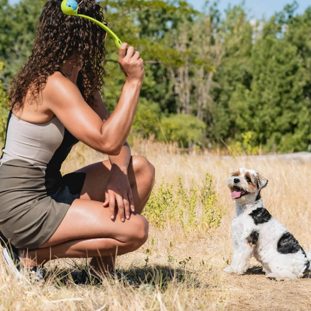 Chuckit! The Whistler Dog Toy