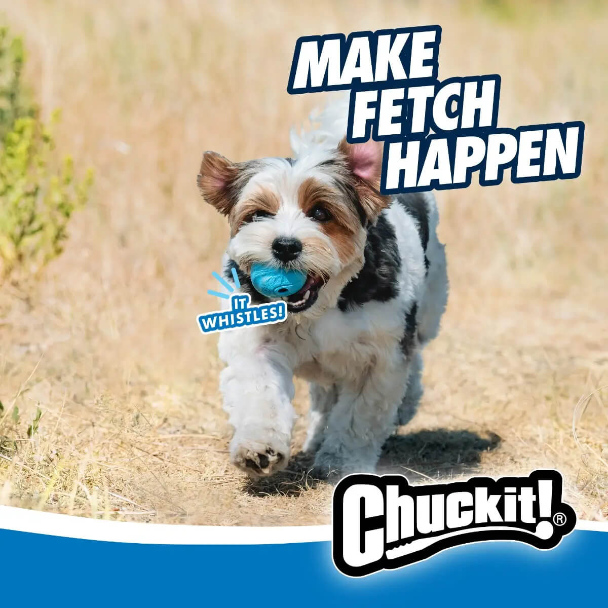 Chuckit! The Whistler Dog Toy