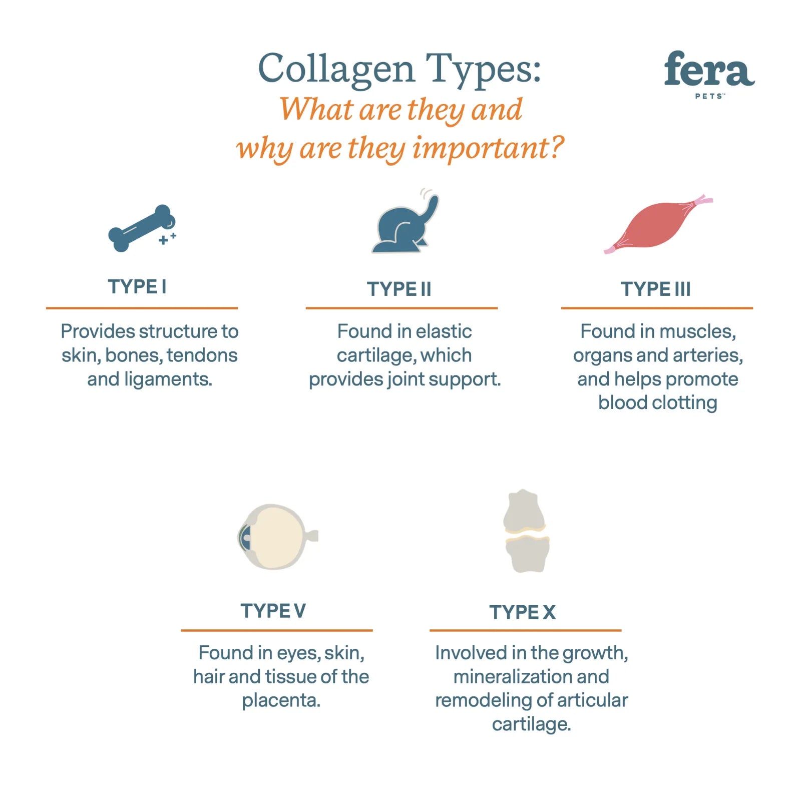 Fera Pets Collagen Plus for Cats and Dogs