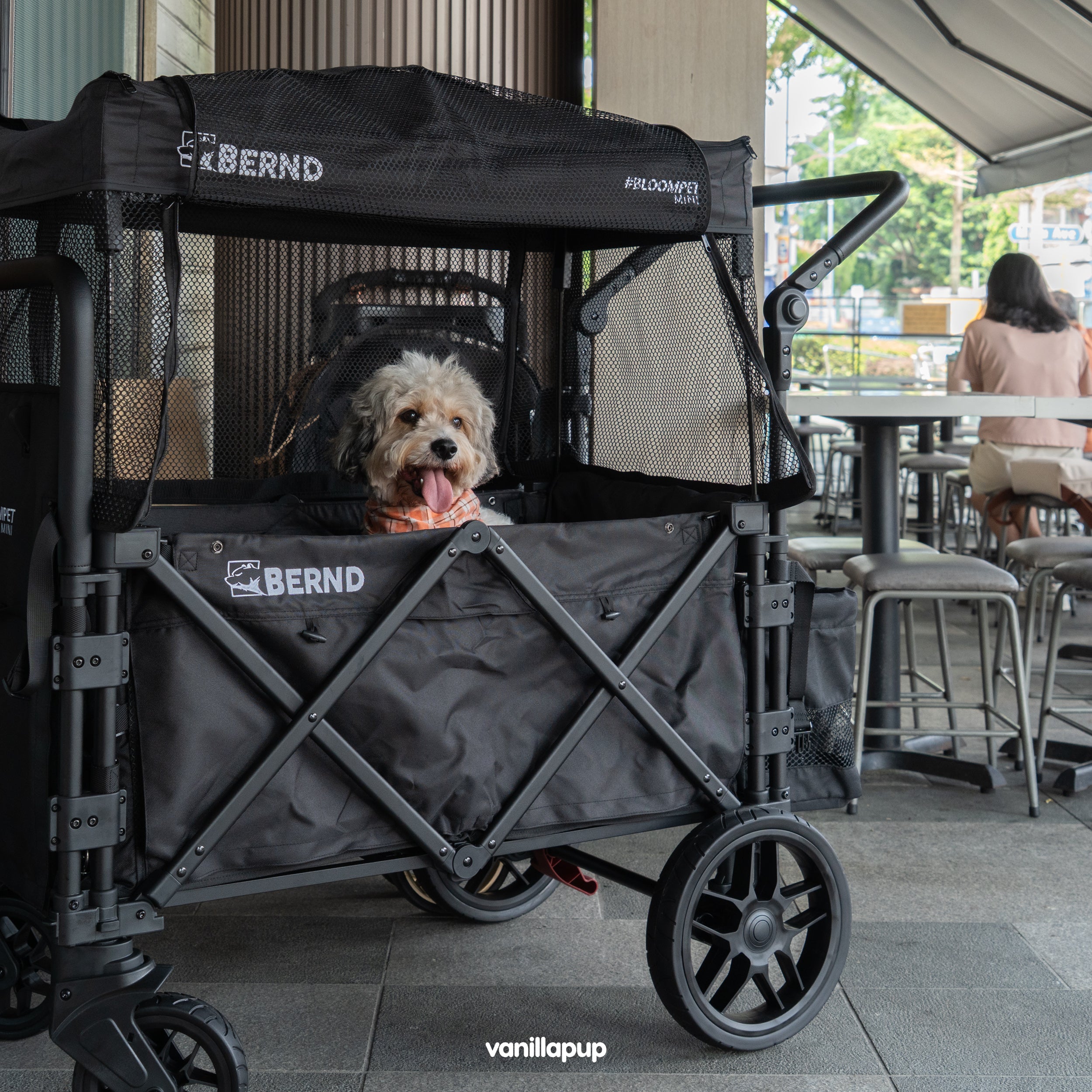 BERND Pets Bloom Max Stroller | 3 Colours