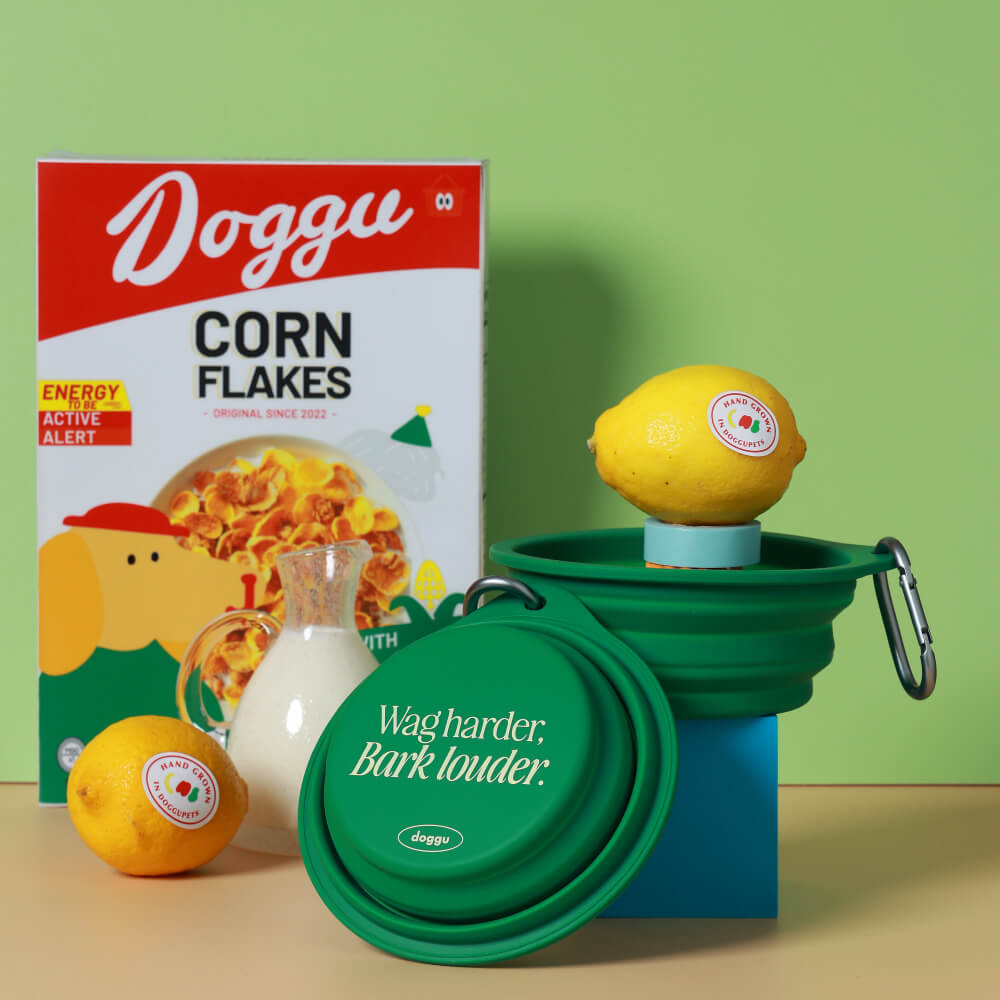 Doggu Collapsible Travel Bowl for Food & Water