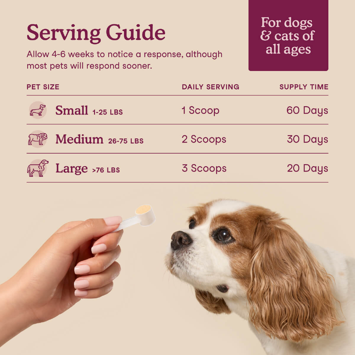 Fera Pets Bladder Support for Dogs and Cats