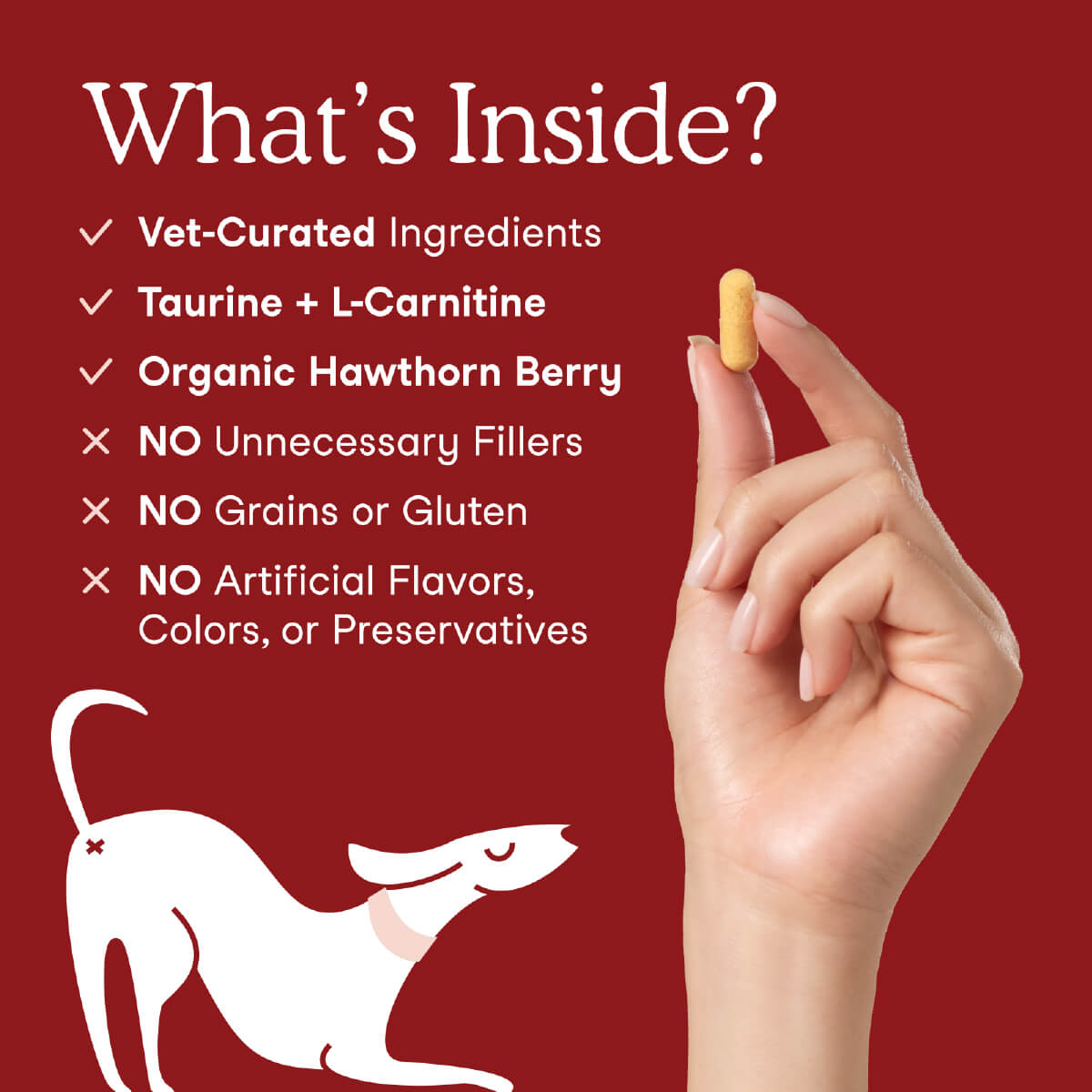 Fera Pets Cardiac Support for Dogs and Cats