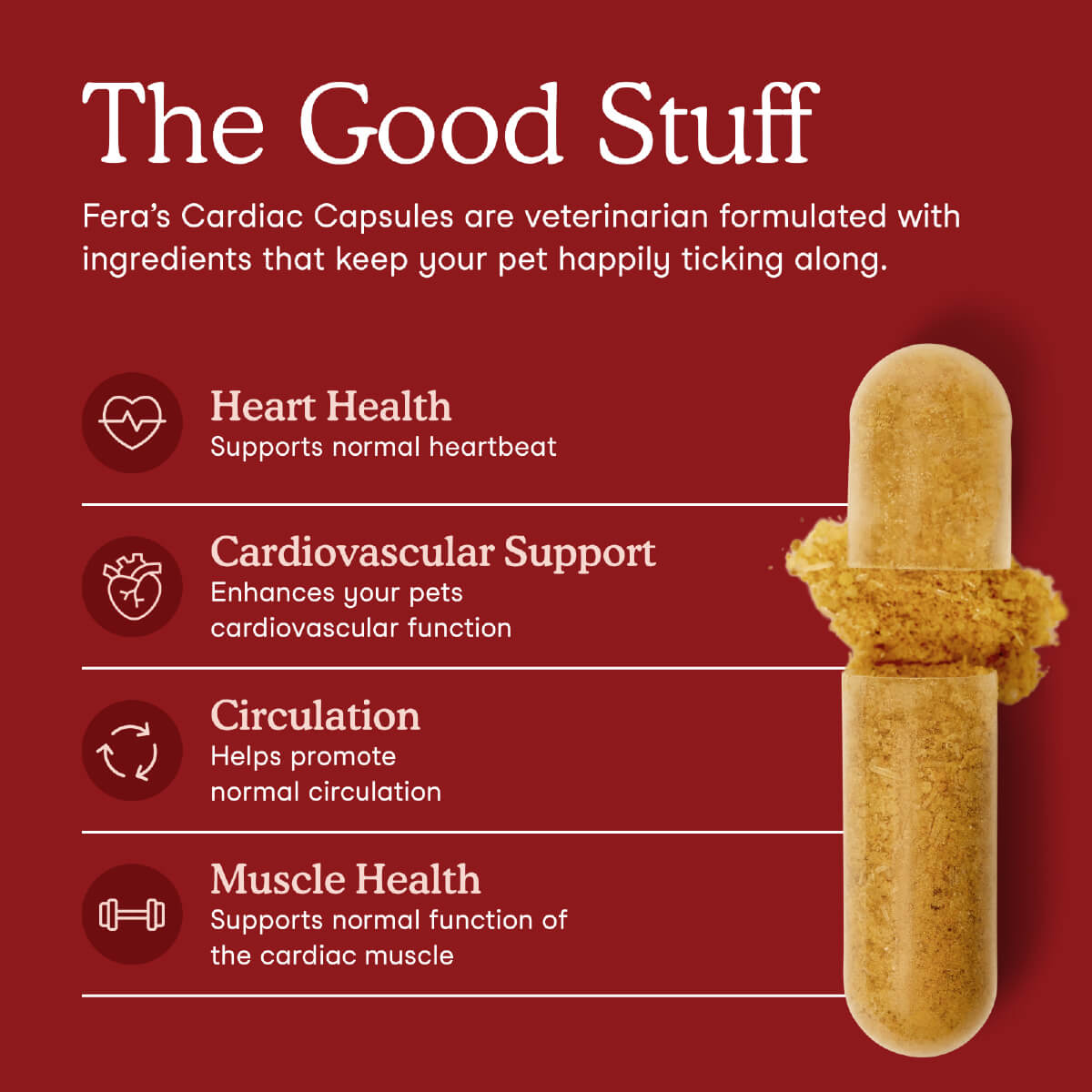 Fera Pets Cardiac Support for Dogs and Cats