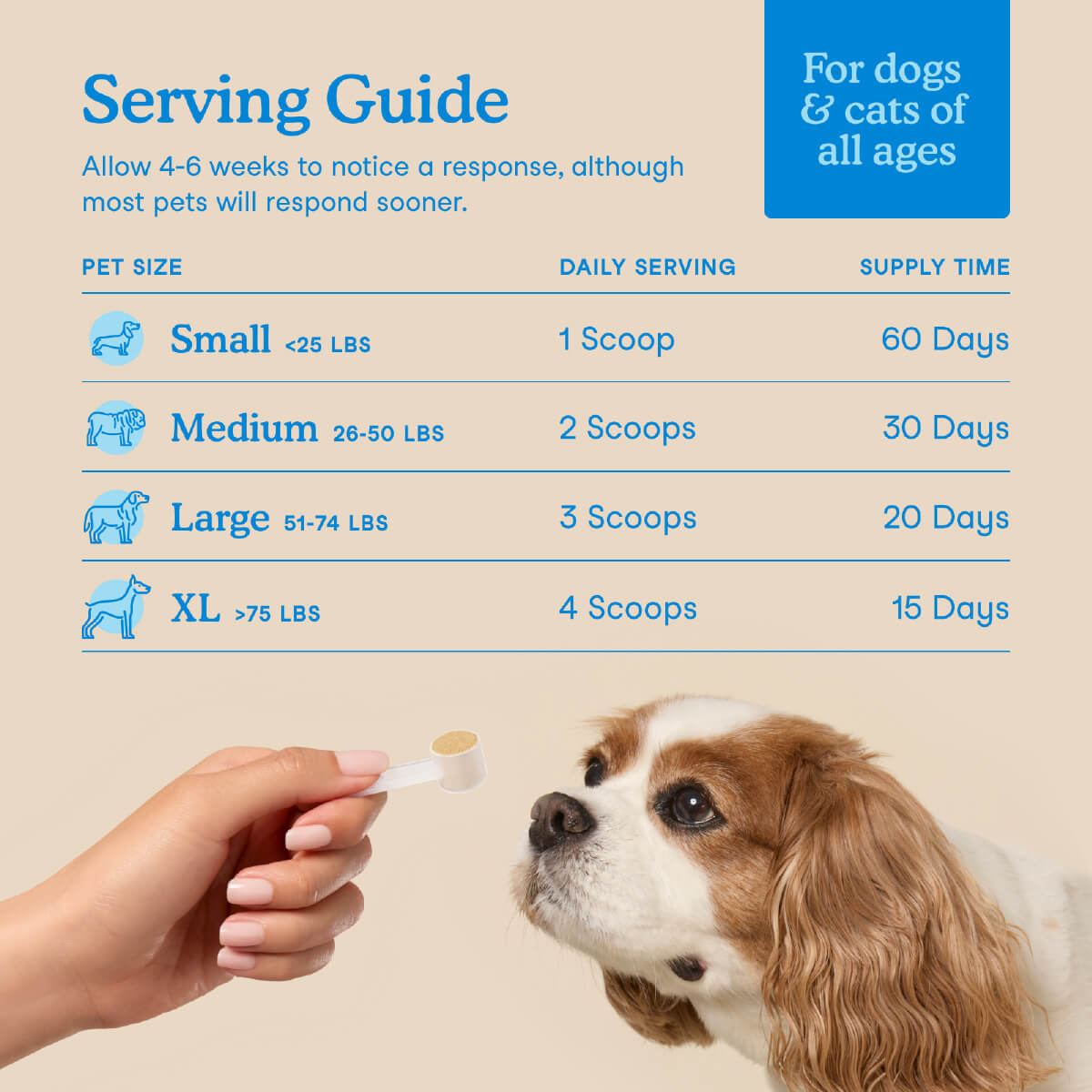 Fera Pets Dental Powder for Cats and Dogs