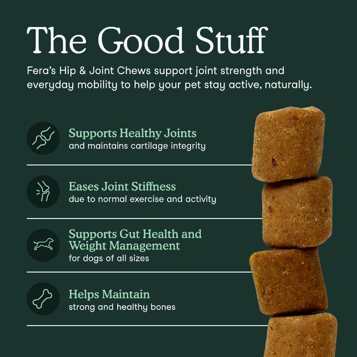 Fera Pets Hip + Joint Soft Chew Supplement for Dogs