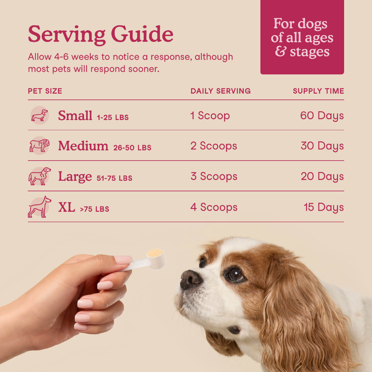 Fera Pets Kidney Support for Dogs