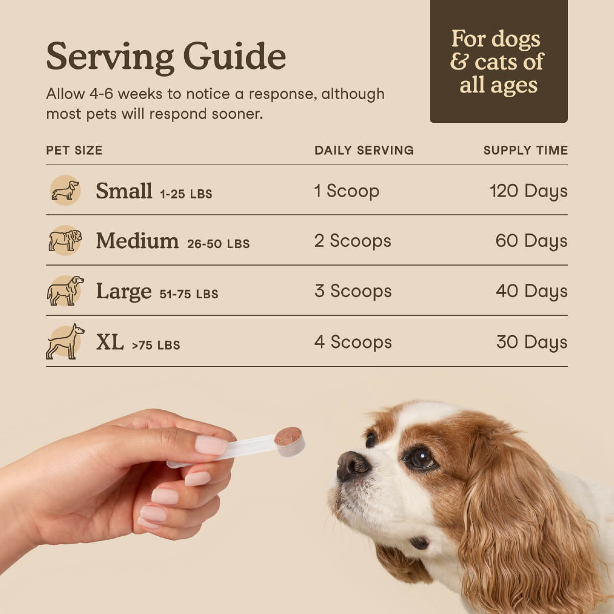 Fera Pets USDA Organic Mushroom Blend for Immune Support