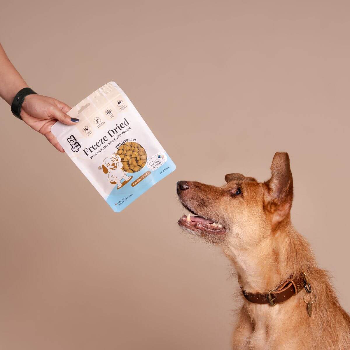 A dog looking at the Frez Eyes Health Freeze Dried Pork with Blueberry & Goji Treats against a brown background.