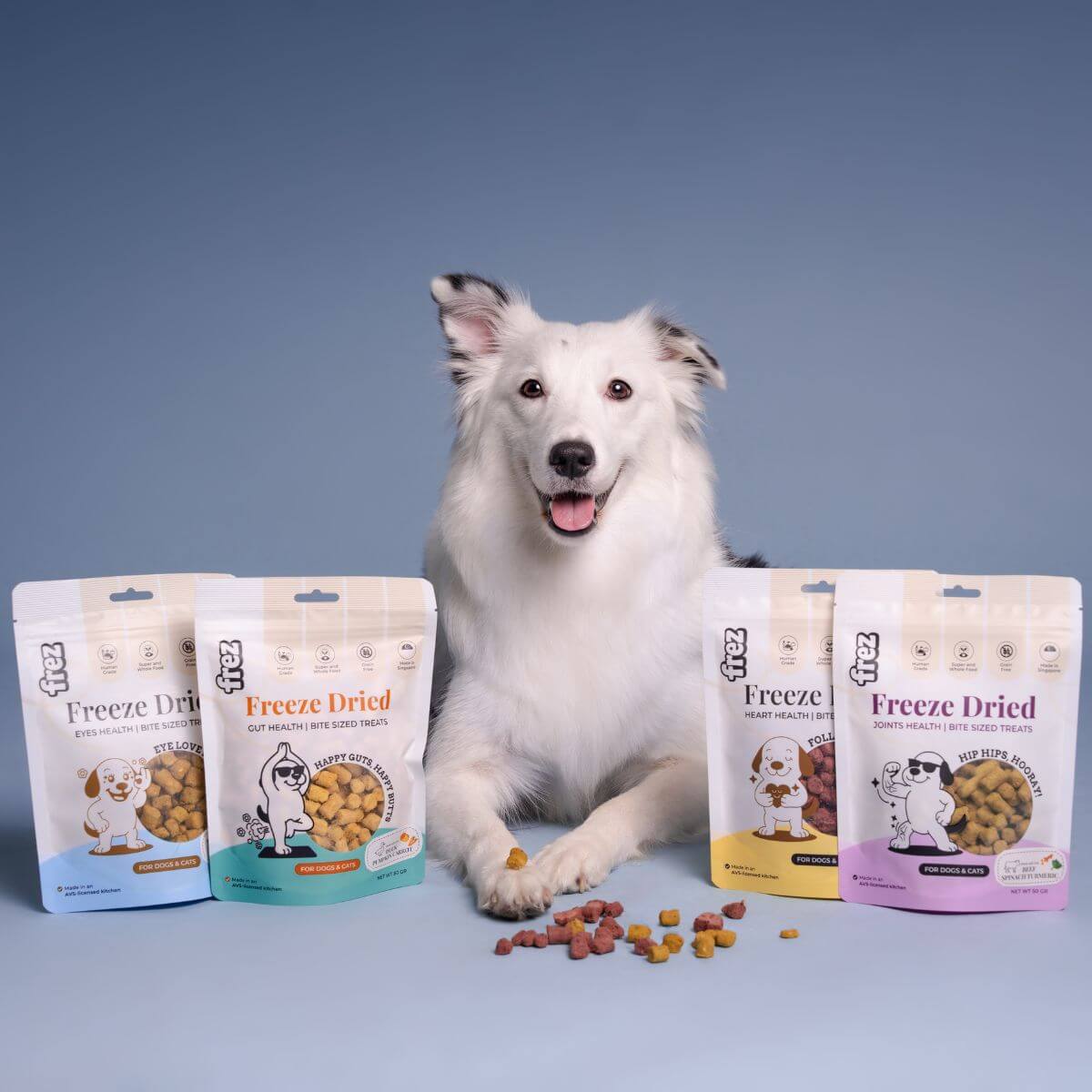 A dog in the middle with 2 packets of Frez treats on either sides.