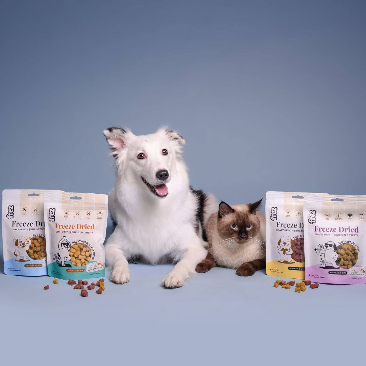A dog and a cat in the middle with 2 packets of Frez treats on each side.