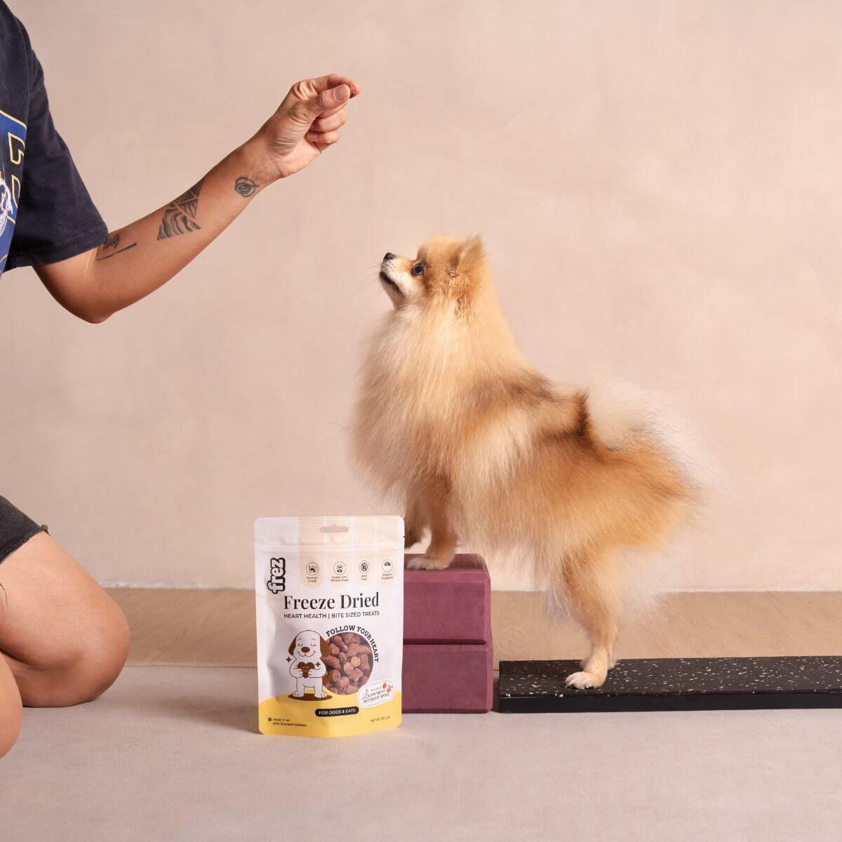 A pomeranian using the Frez Heart Health Freeze Dried Kangaroo with Beetroot & Apple Treats as training treat during fitness or exercise.