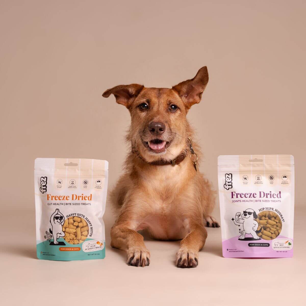A dog in the middle and flanked by two packets of Frez treats.