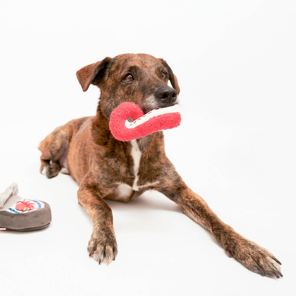 the furryfolks Tinned Octopus Nosework Toy