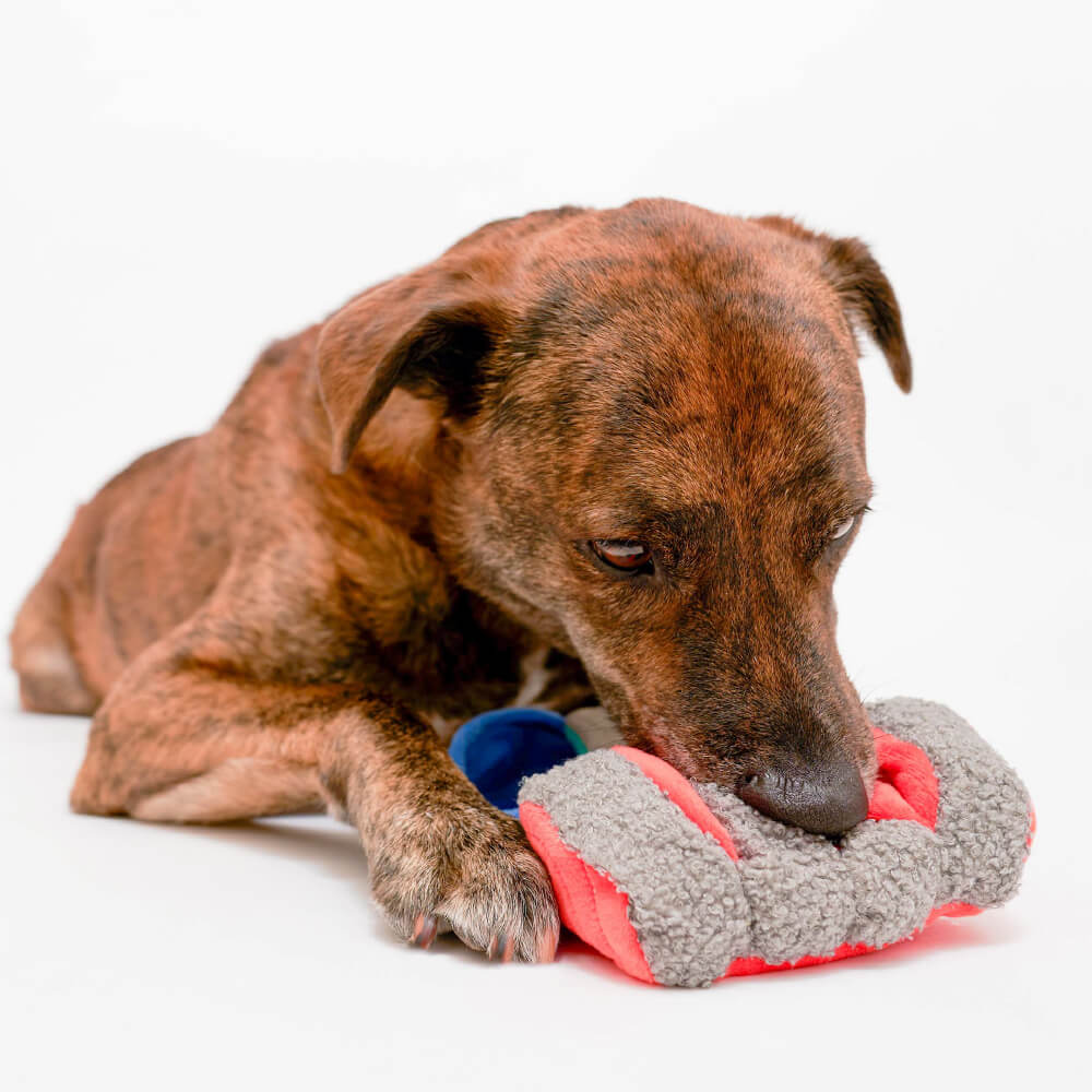 the furryfolks Tinned Salmon Nosework Toy