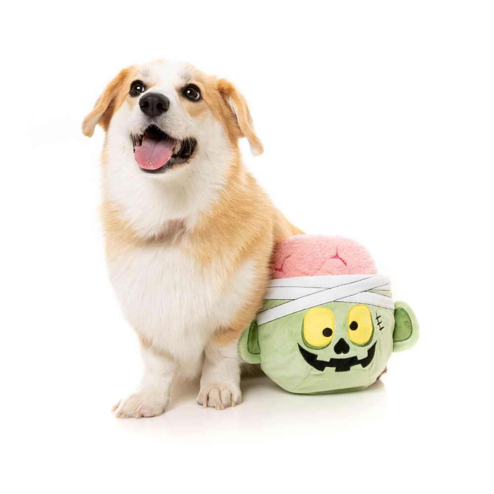 Barkbox sales halloween toys