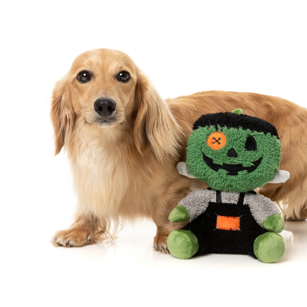 FuzzYard Halloween Plush Dog Toy | Jack-O Chan Frankenstein