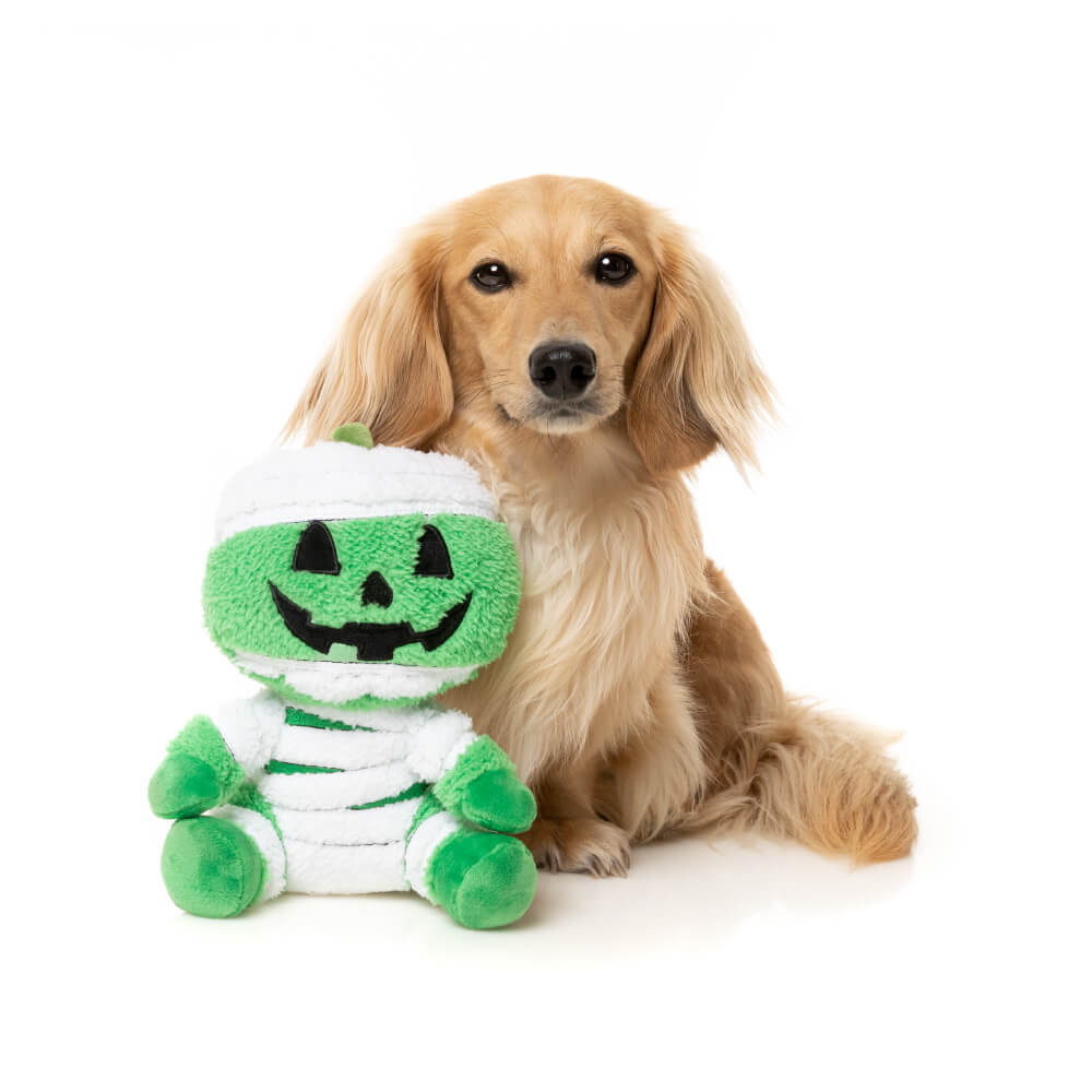 FuzzYard Halloween Plush Dog Toy | Jack-O Chan Mummy