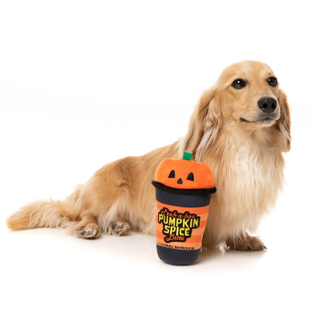 FuzzYard Halloween Plush Dog Toy | Peek-A-Boo Pumpkin Spice Latte