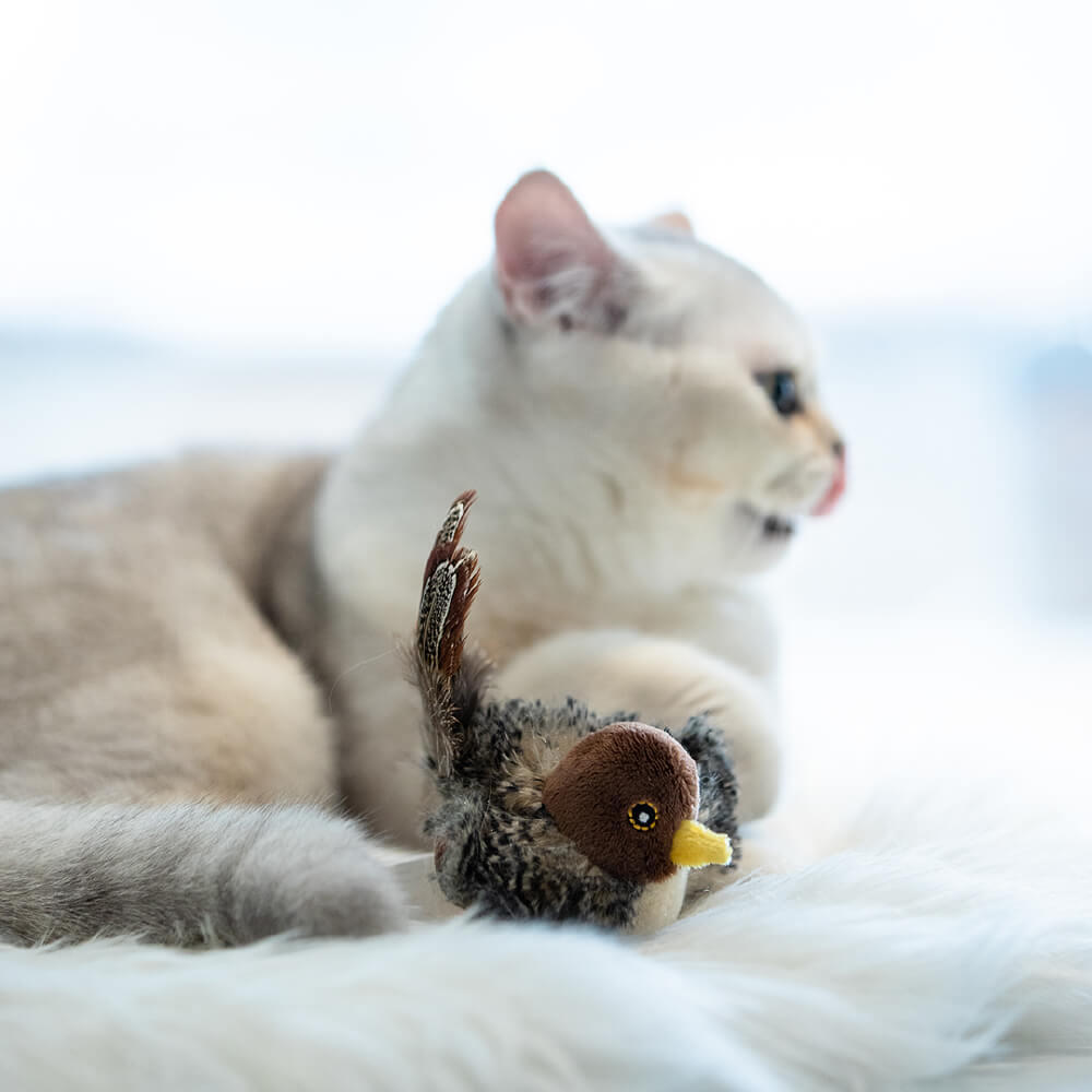 Gigwi Melody Chaser for Cats | Bird