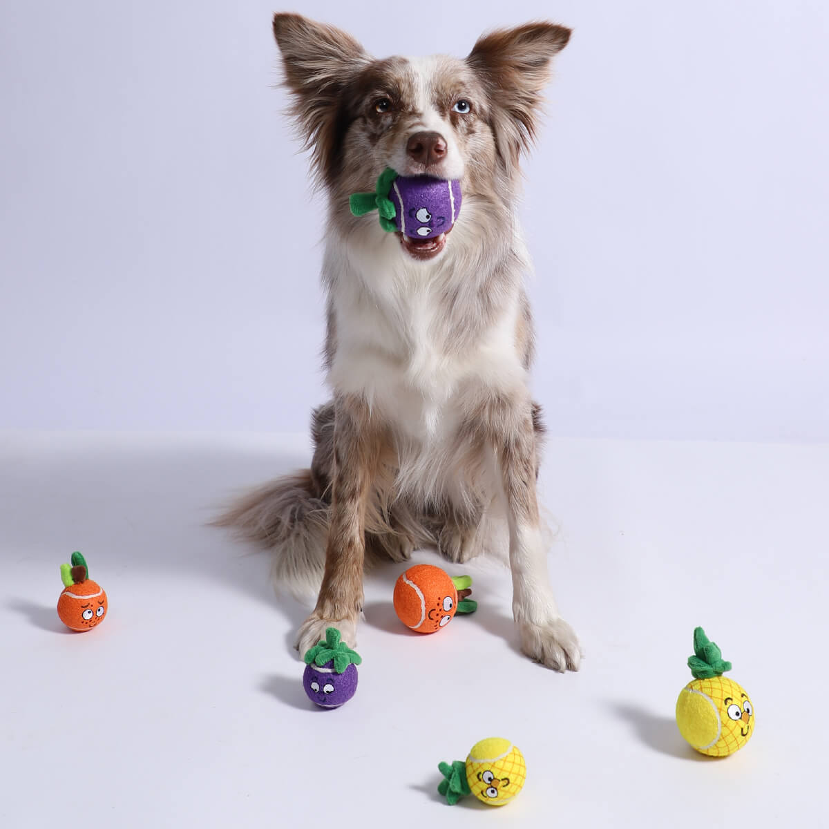 GiGwi Tennis Ball | Mangosteen