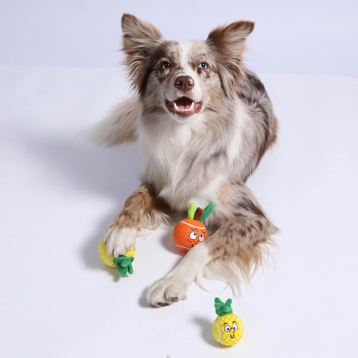 GiGwi Tennis Ball | Pineapple