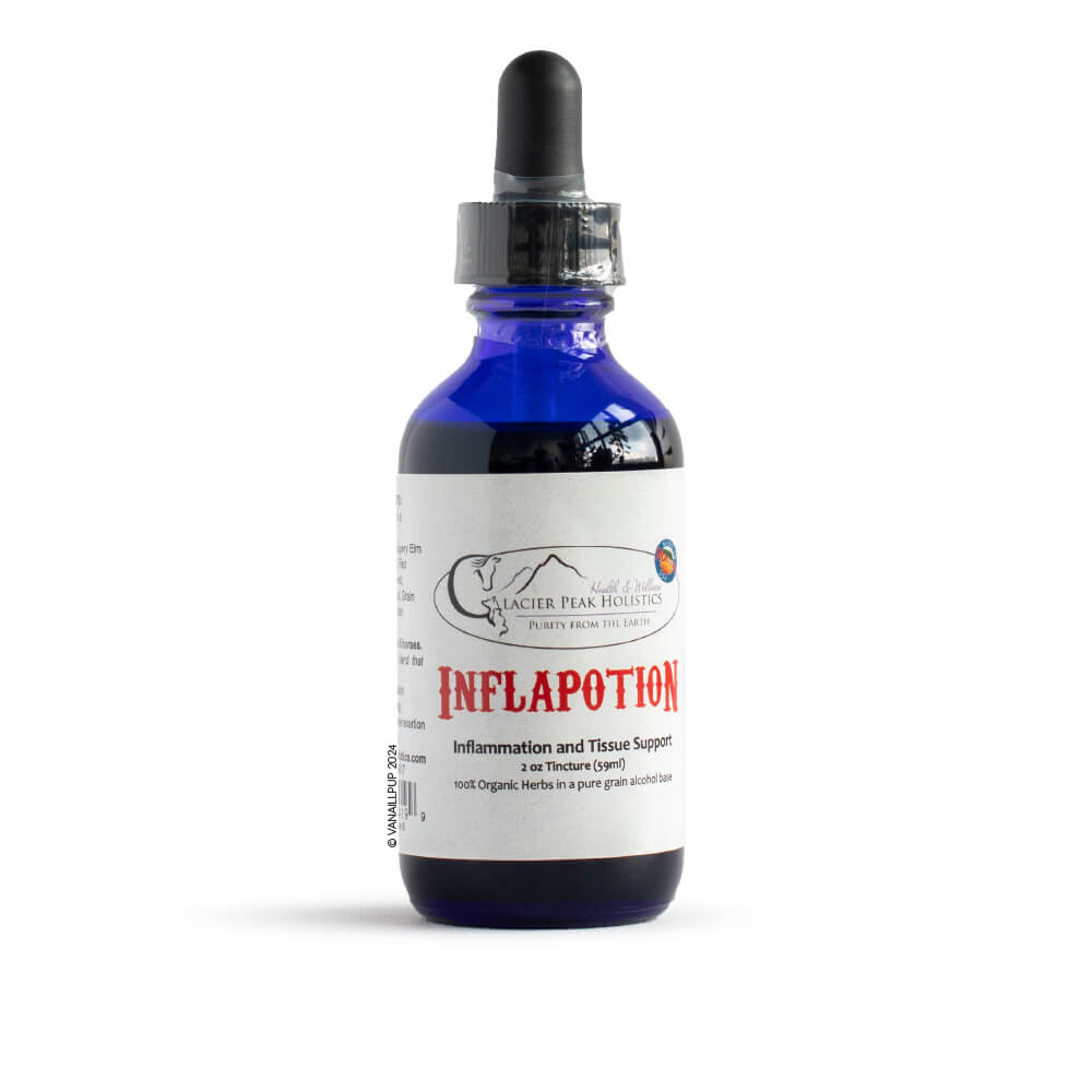 Glacier Peak Holistics Inflapotion | Natural Anti-Inflammatory Support