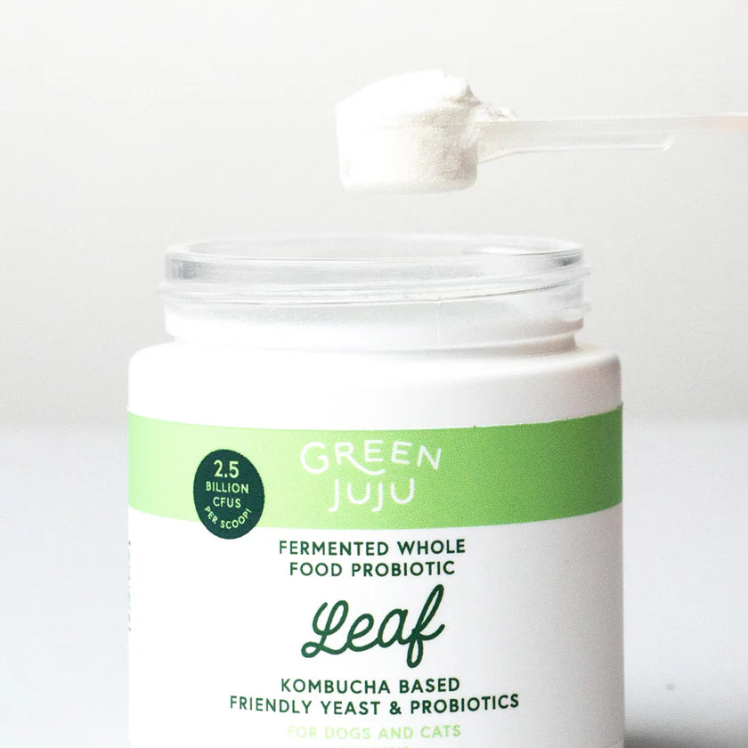 Green Juju Leaf | Fermented, Kombucha-Based Probiotic