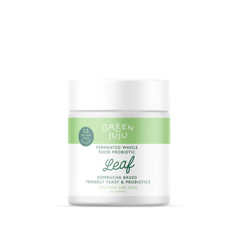Green Juju Leaf | Fermented, Kombucha-Based Probiotic