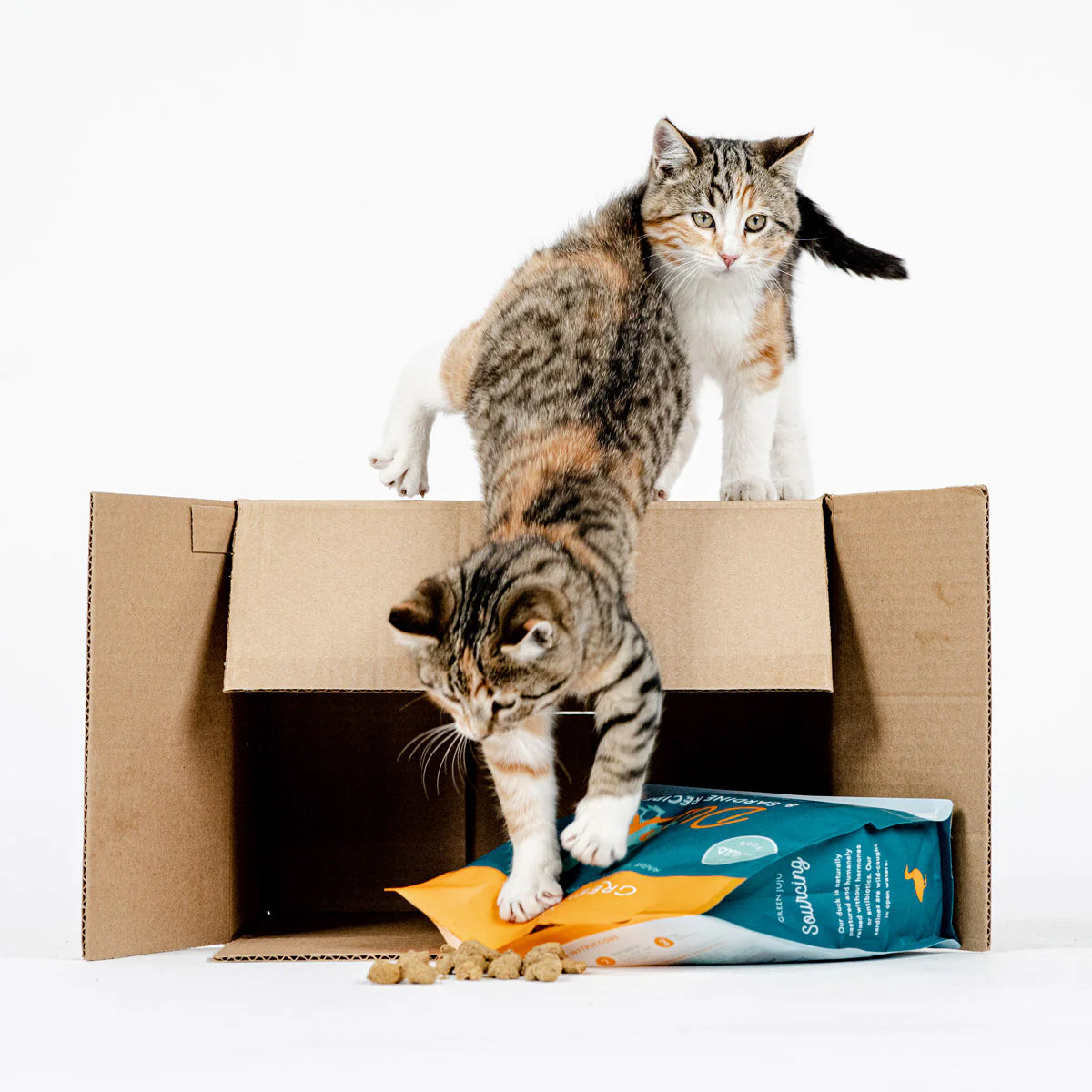 Green Juju Freeze-dried Raw Food | Duck & Sardine