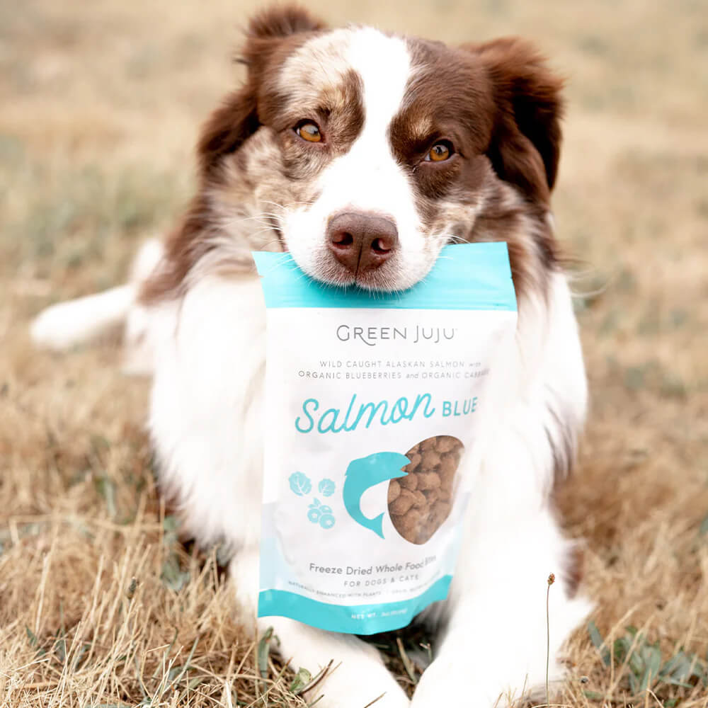 Green Juju Salmon Blue Whole Food Bites