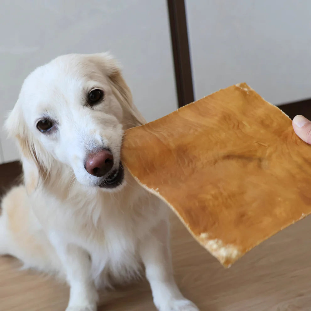 The Source-Sage Club Air Dried Horse Skin Plate