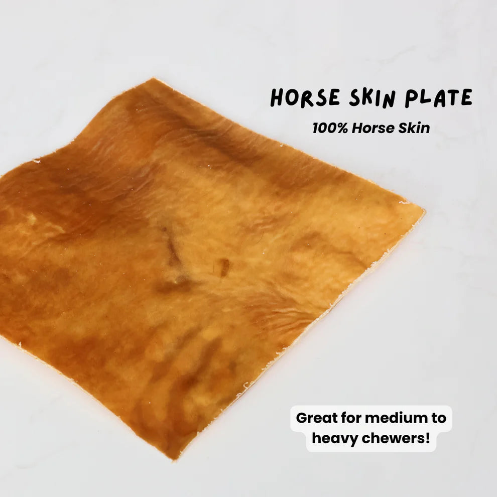 The Source-Sage Club Air Dried Horse Skin Plate