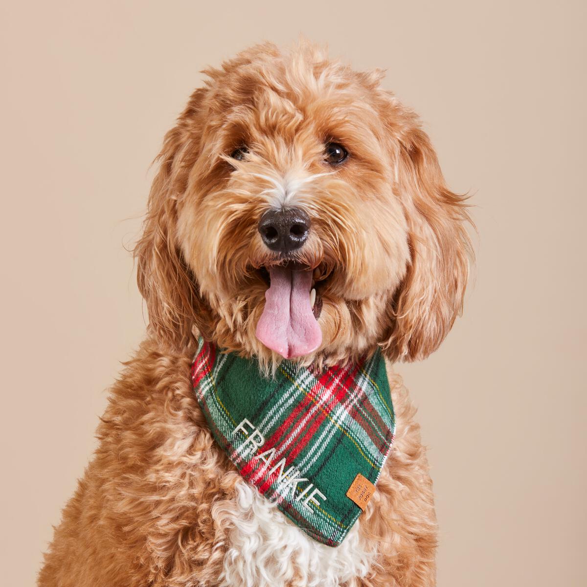 The Foggy Dog Holly Jolly Flannel Bandana