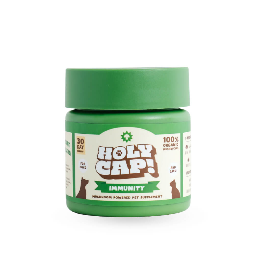 HOLY CAP Mushroom Supplement | Immunity