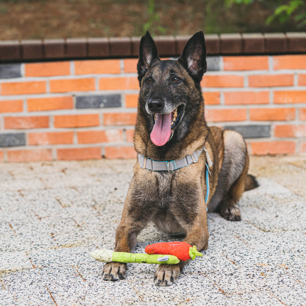 Asparagus top dog toy