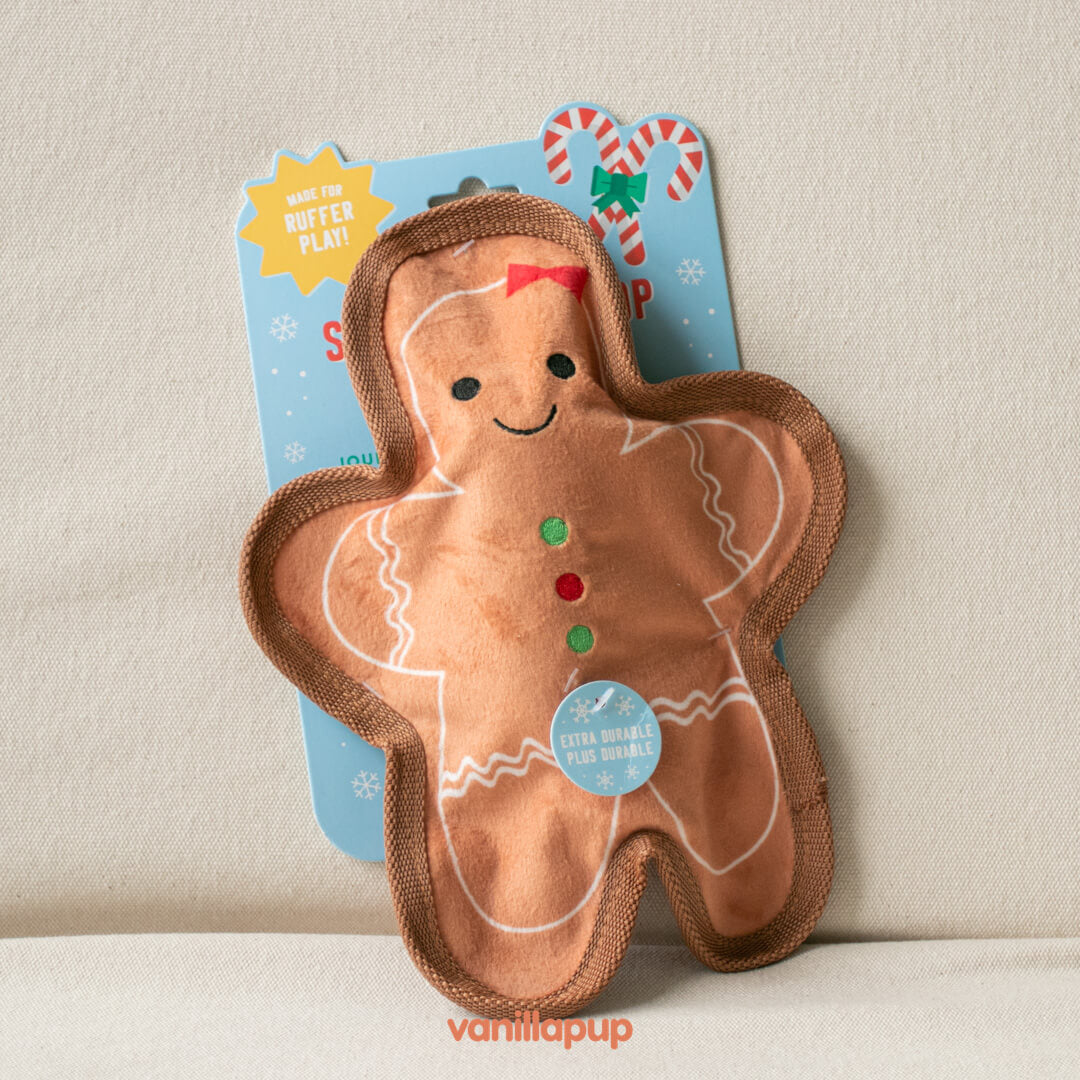 Fringe Studio Gingerbread Girl Unstuffed Dog Toy