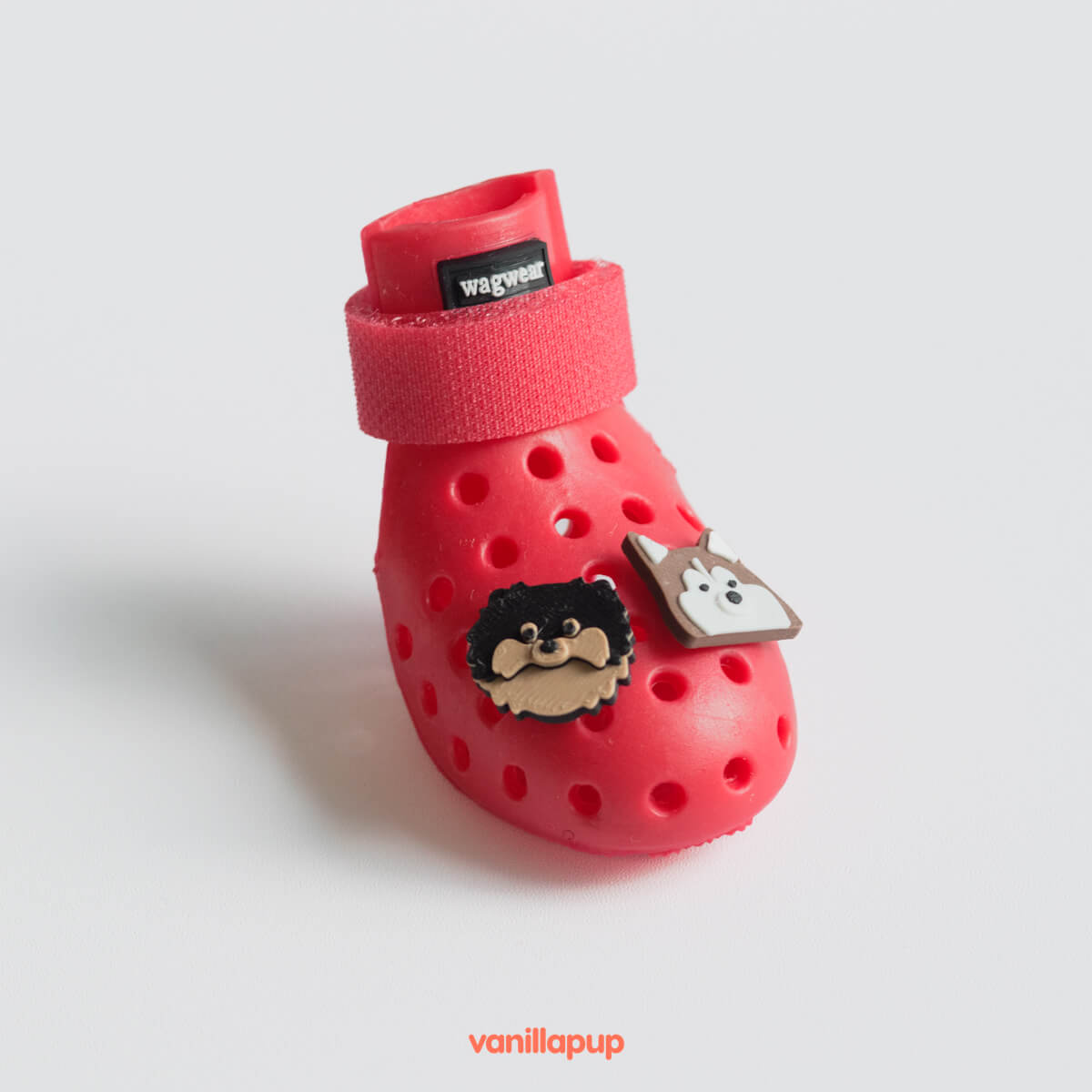 Elyand.co Shoe Charms | Pomeranian