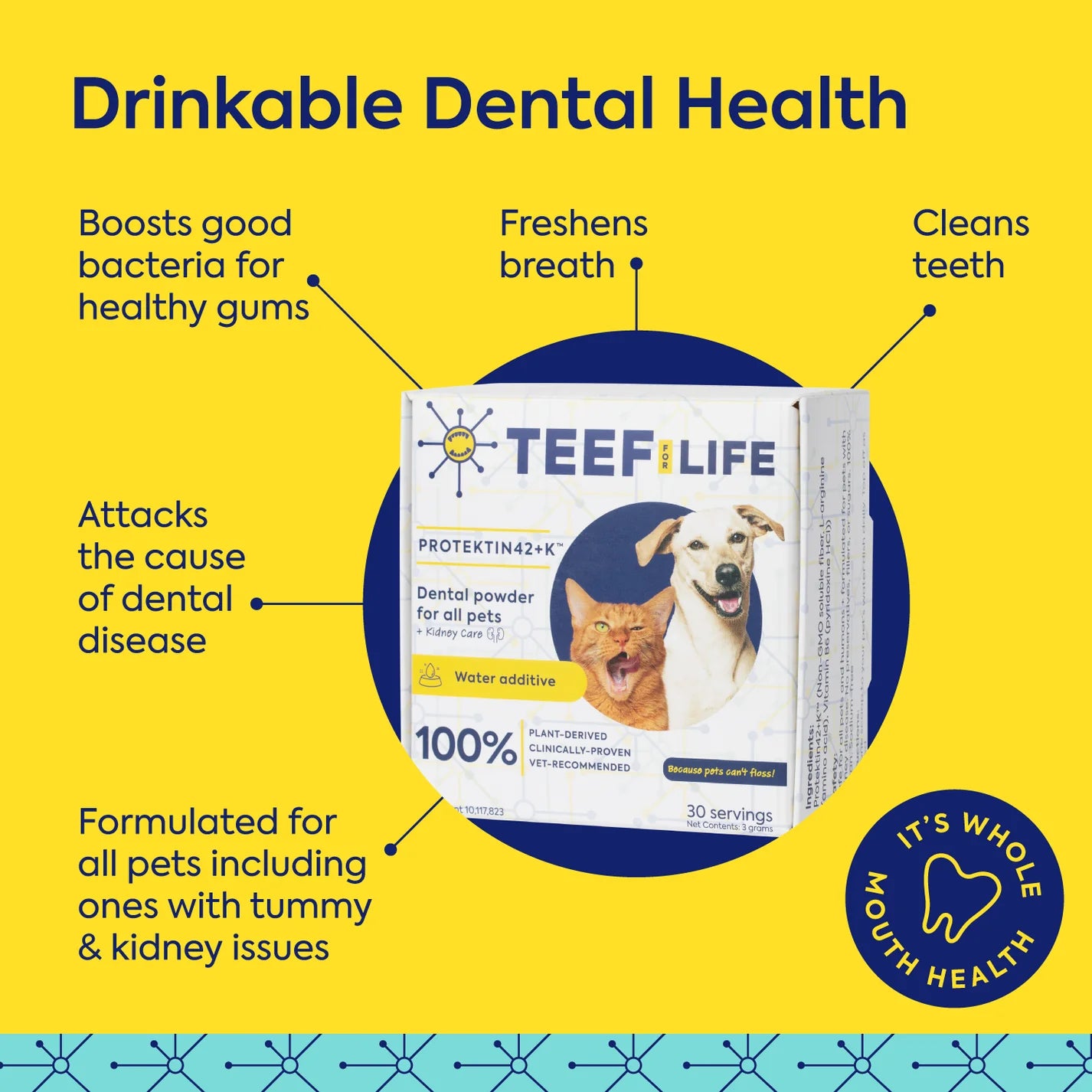 TEEF! Daily All Pets Dental Care Regimen